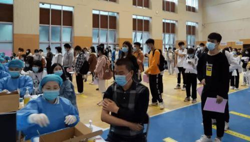 圆谷公司最新爆料消息,最新消息揭示神秘奥特曼起源与未来动向