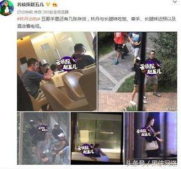 卓伟最新爆料赵五儿,娱乐圈再掀波澜，神秘事件真相揭晓