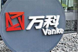 万科股东爆料最新消息新闻,最新消息揭示公司重大变革