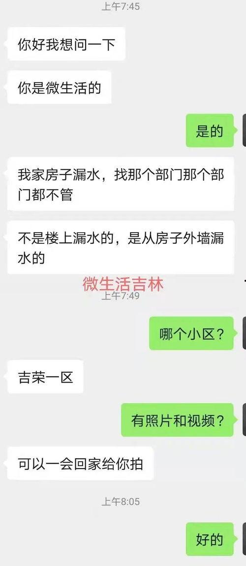 吉林网友爆料最新消息,最新消息引发关注！