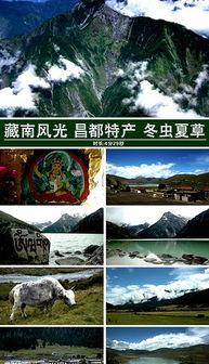 风景最新爆料视频下载大全,一睹绝美风光瞬间