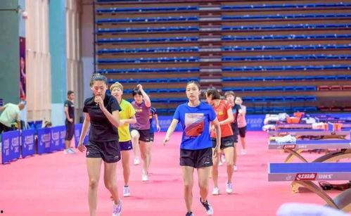 刘诗雯爆料最新动态视频,揭秘赛场幕后花絮与心路历程