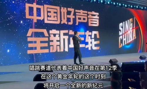 最新爆料好声音视频,独家揭秘幕后精彩瞬间，视频爆料直击选手实力对决